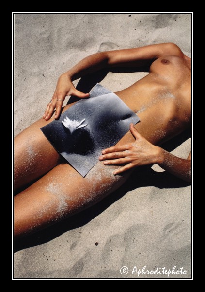 111 Photographie 2